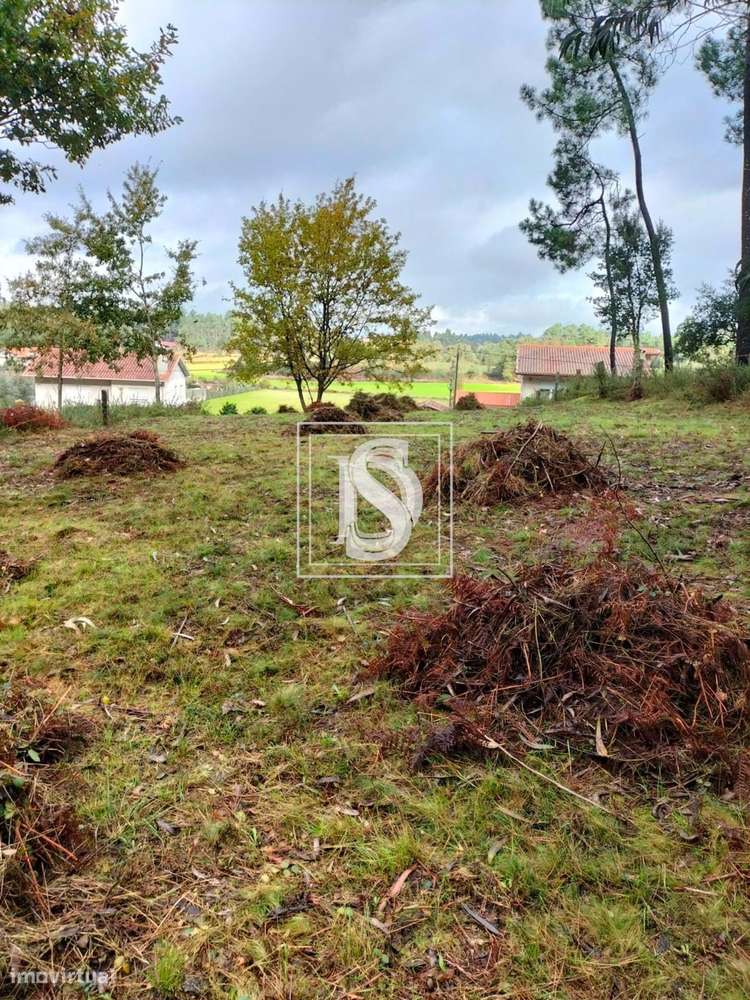 Terreno Não definido em Várzea - Grande imagem: 5/11