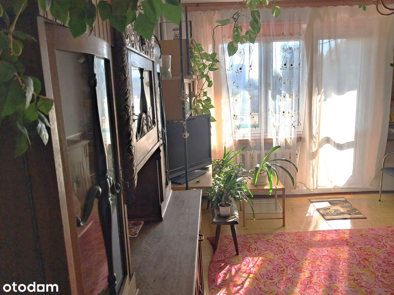 2 pokoje Osiedle Witosa-0