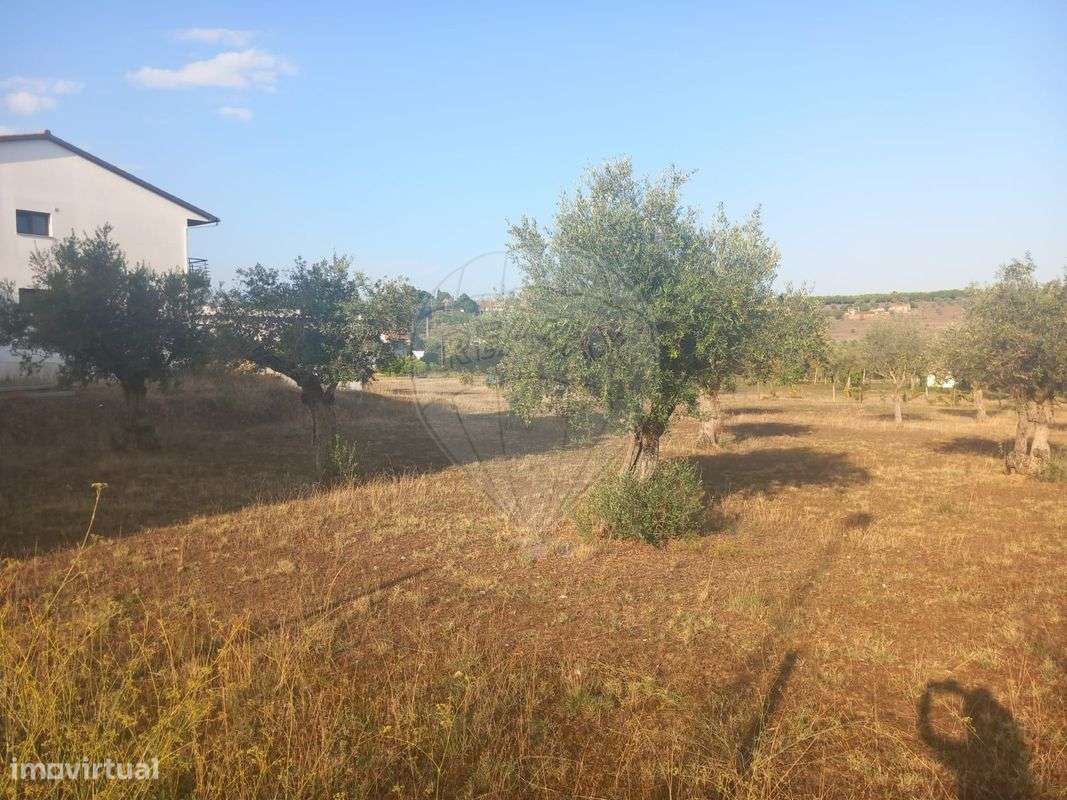 Terreno  para venda - Grande imagem: 5/5