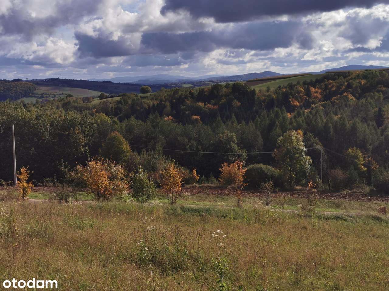 Działki budowlane w Bruśniku - Pełny obrazek: 4/7