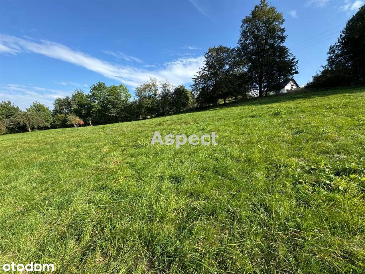 Działka Budowlana Jaworze 1168 m2 - Pełny obrazek: 5/7