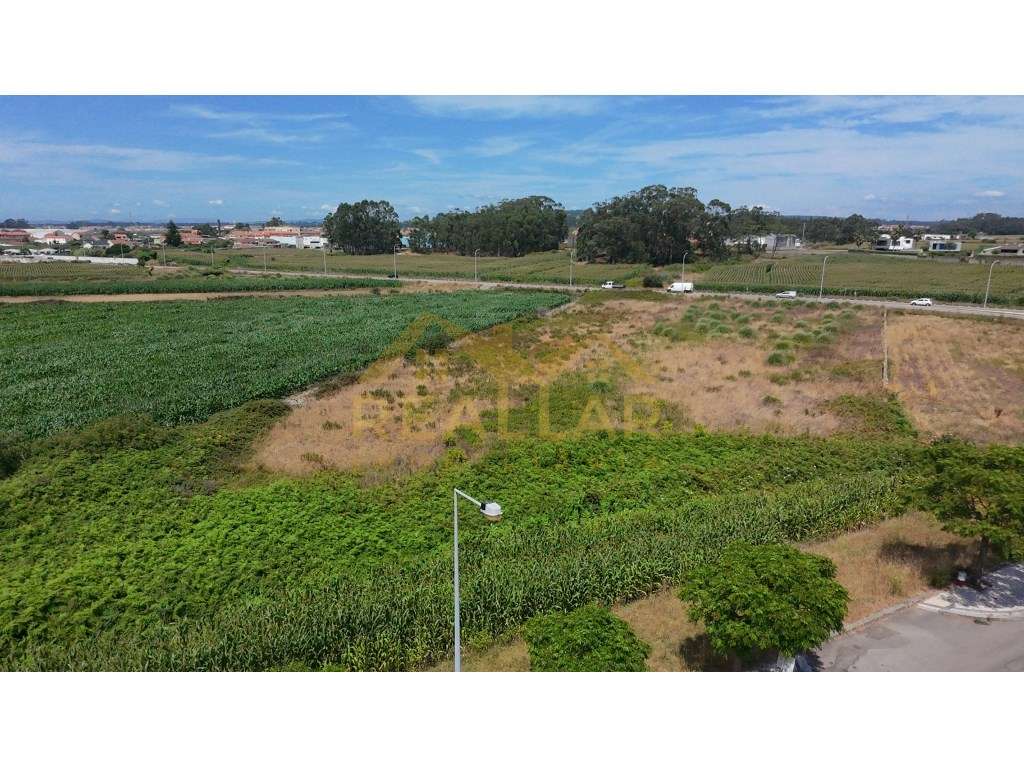Excelente Oportunidade de Investimento: Terreno para Construção em ...-24