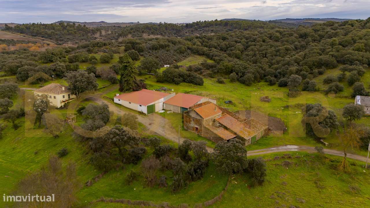 Quinta do Arieiro - Cedovim | Vila Nova de Foz Côa | Douro Superior-36