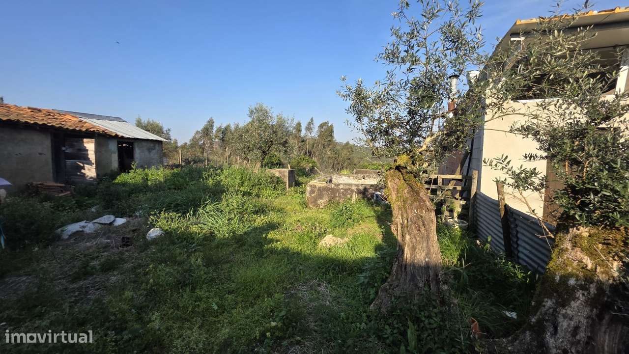 Moradia para restaurar, com terreno, perto de Ferreira do Zêzere-13