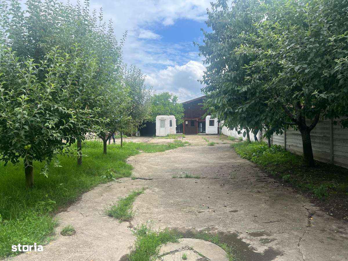 Teren industrial 891 mp, Sanmartin-Rontau-0