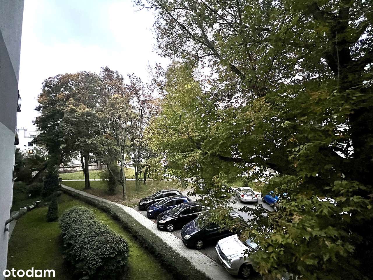 Świetny Układ - Duże Możliwości - Zielona Saska Kępa-4