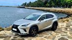 Lexus NX 300h Special Edition (LCA) - 1