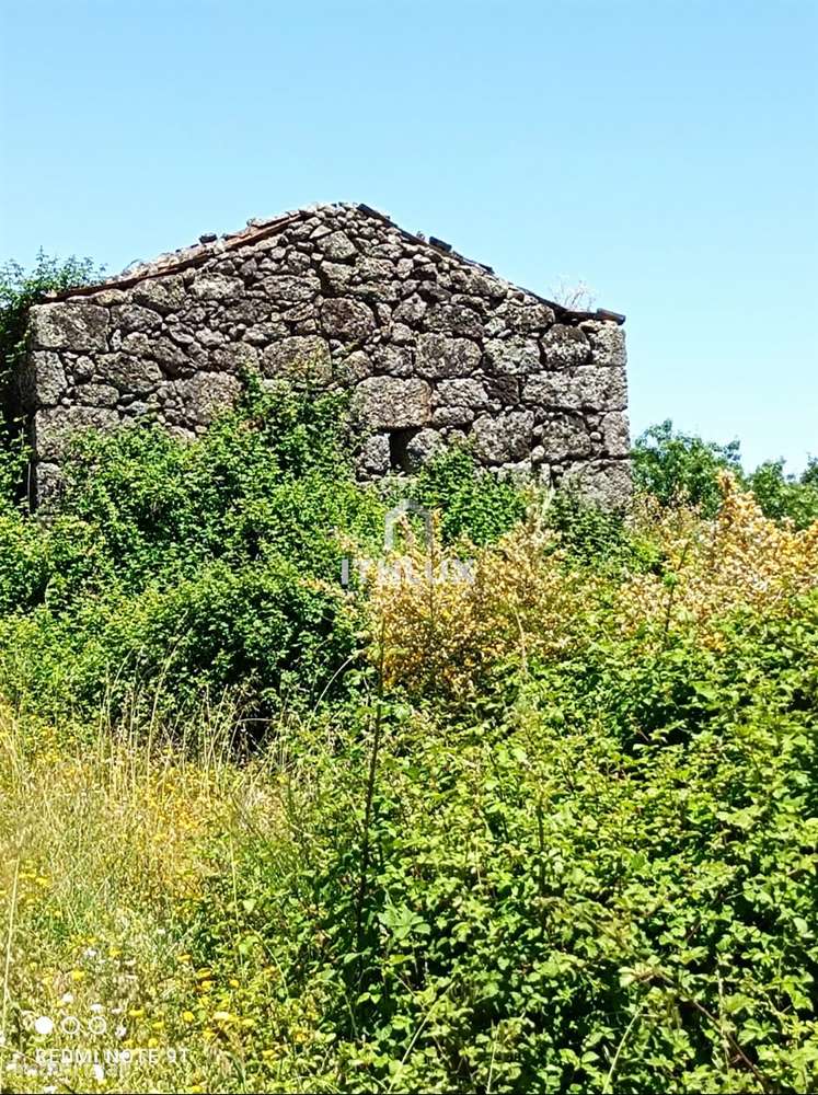 Terreno 9000 m2 com ruina anterior a 1951 e poço de água. - Grande imagem: 4/19