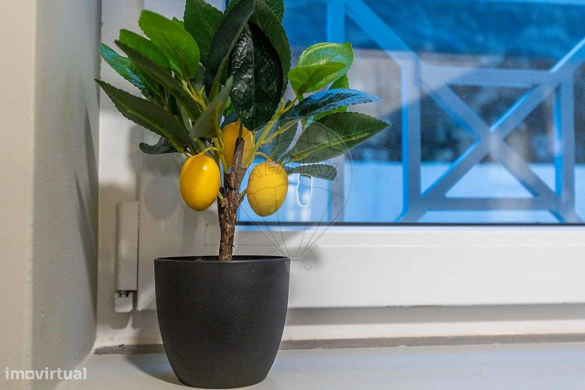 Prédio  para venda-3