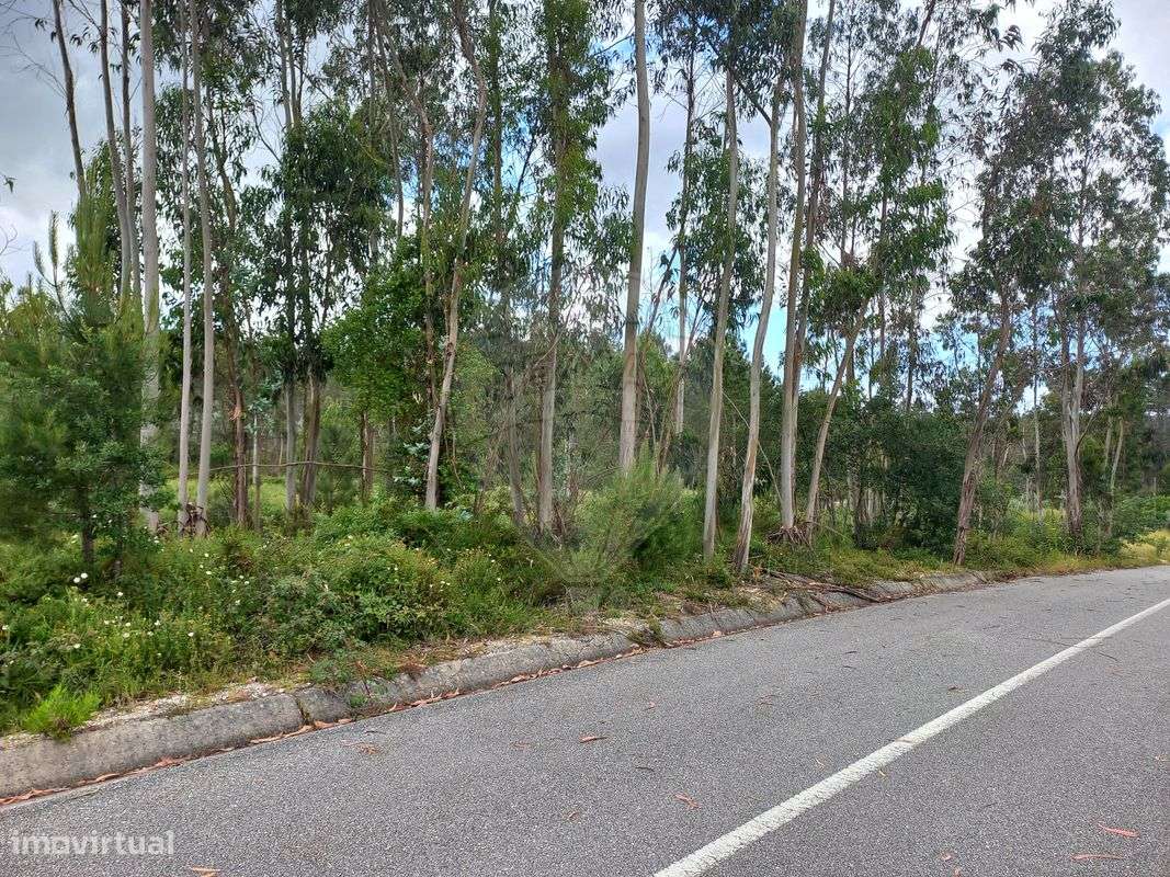 Terreno  para venda - Grande imagem: 4/4