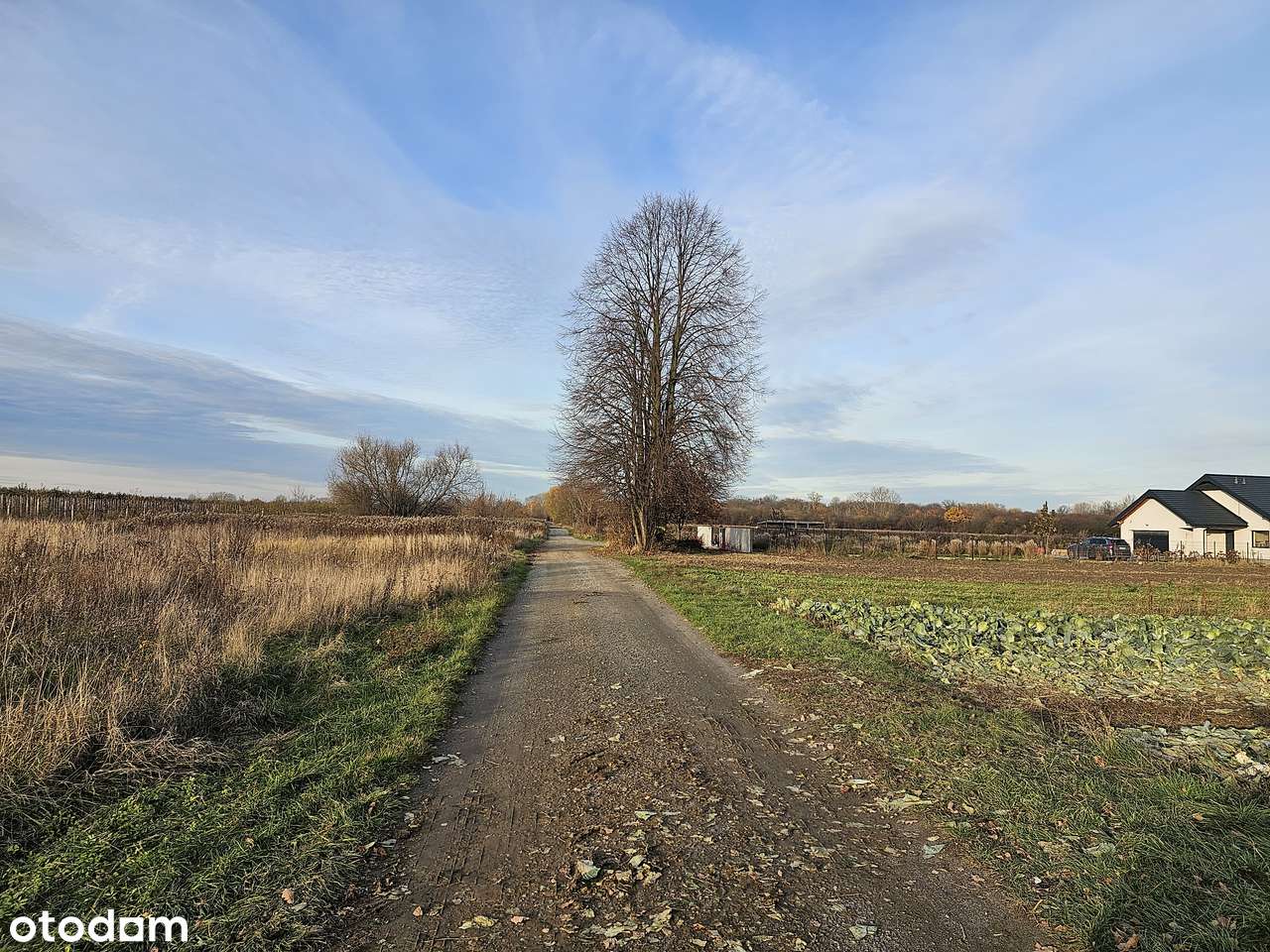 Przy jeziorze. Z widokiem na Pałac. Pozw.na budowę-stajnia,hotel,dom.. - Pełny obrazek: 4/15
