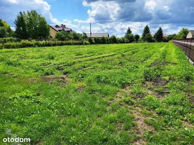 Działka blisko stacji Pkp Błonie Rokitno. Wszystki - Pełny obrazek: 5/5