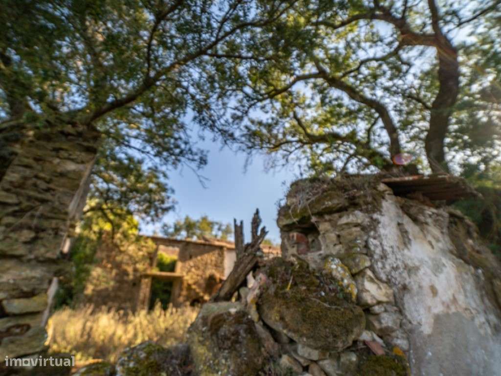 Quinta - Freiria - Sobral Monte Agraço-13