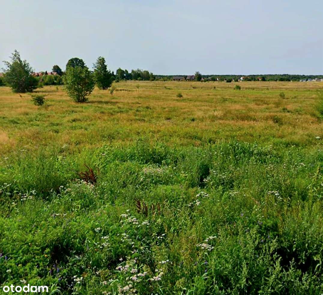 Przewłoka k.Ustki działka 1000 m² - Pełny obrazek: 4/7