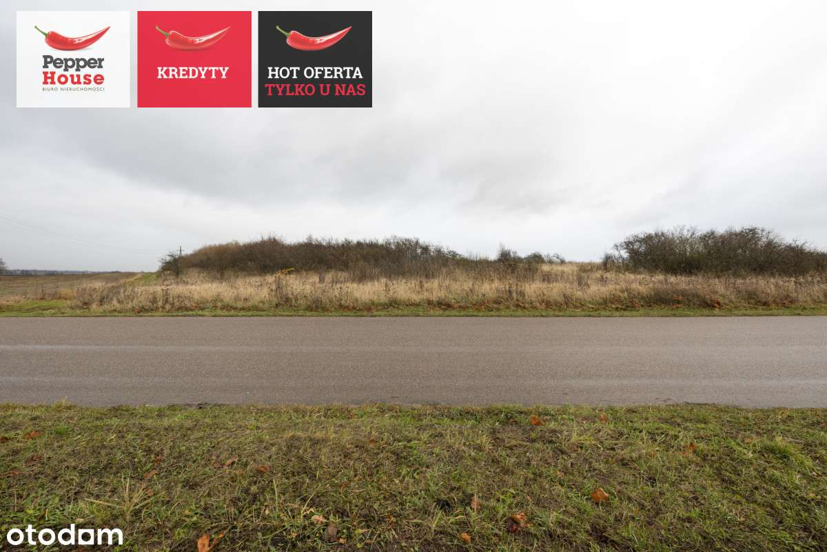 Działka przemysłowa - Pełny obrazek: 2/10