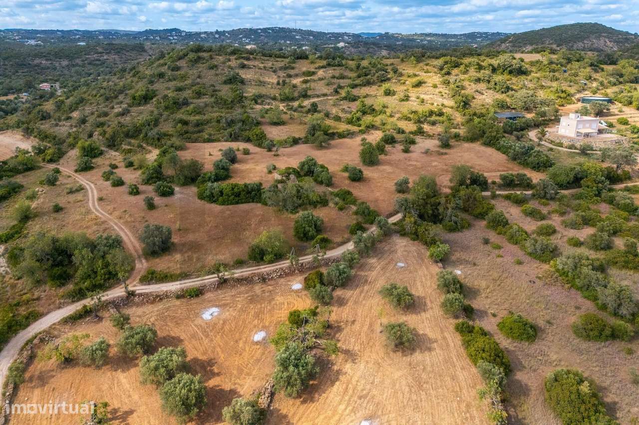 Terrenos com Ruína Certificada para Venda | Conceição e Estoi - Grande imagem: 5/37