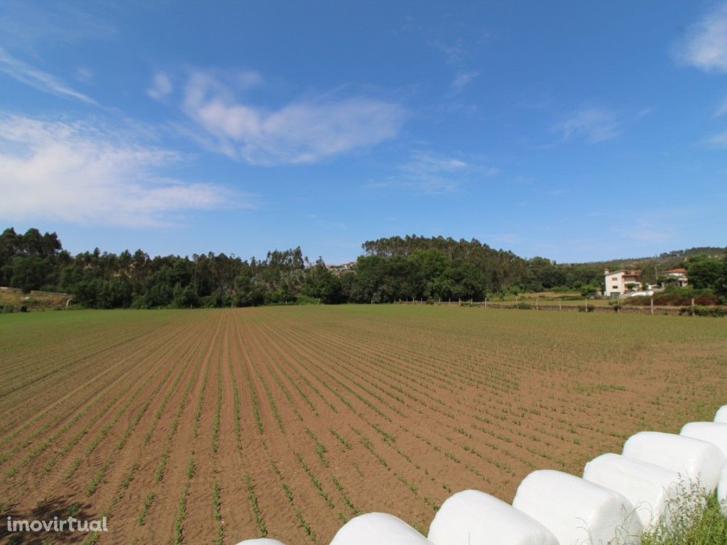 Vende-se terreno Agrícola em Ribeirão com 5.947 m2.