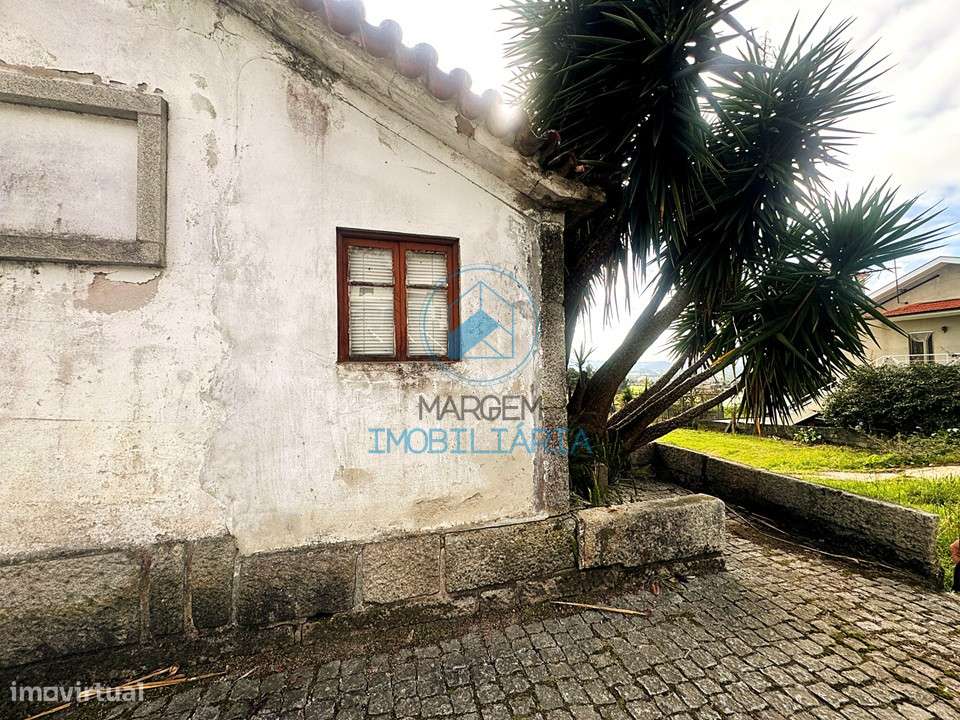 Terreno construção e cultivo – 6000m2 c/moradia devoluta-20