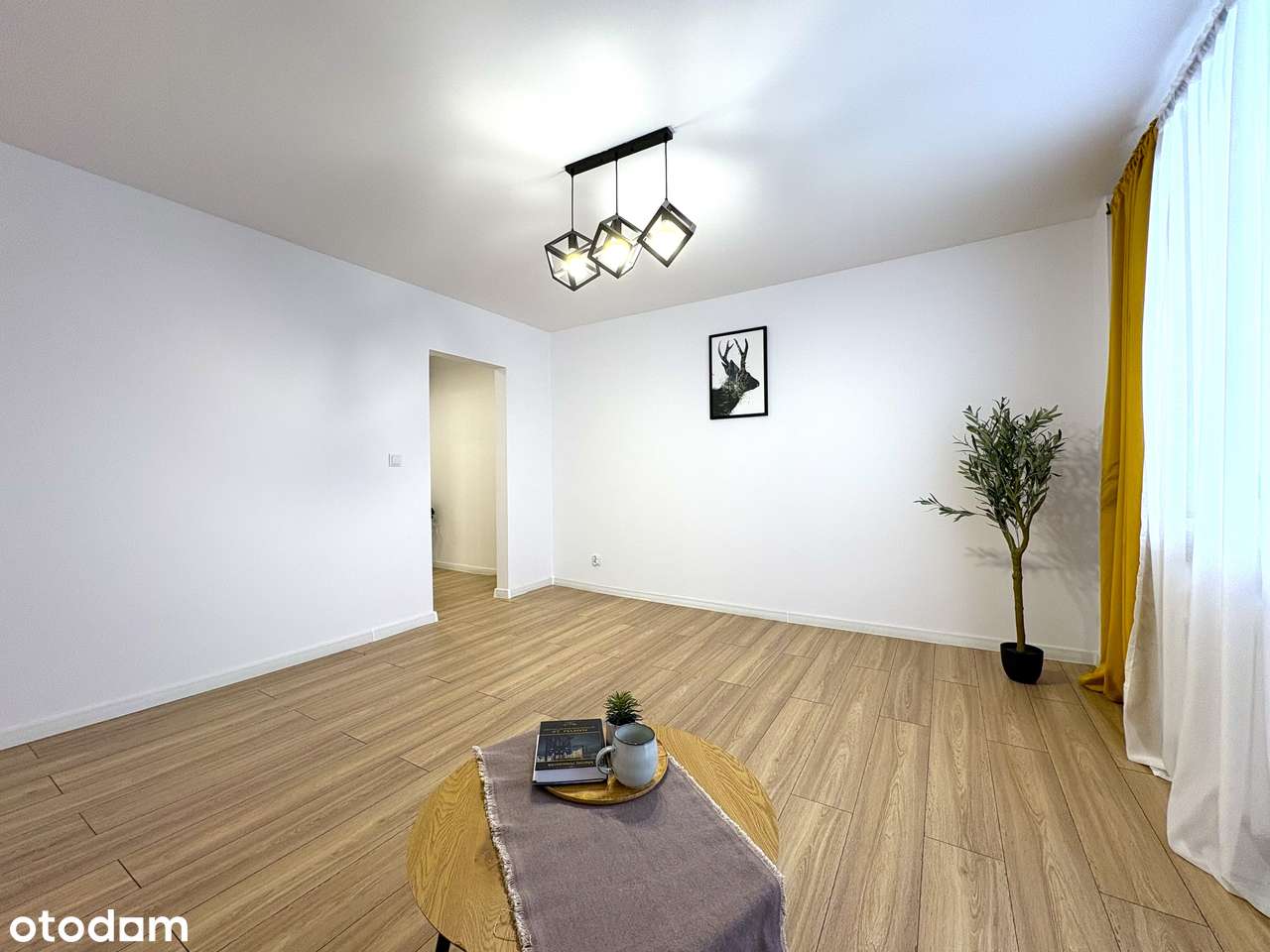 3 pokojowe mieszkanie z balkonem w Miechowicach na 2 piętrze - Pełny obrazek: 2/14