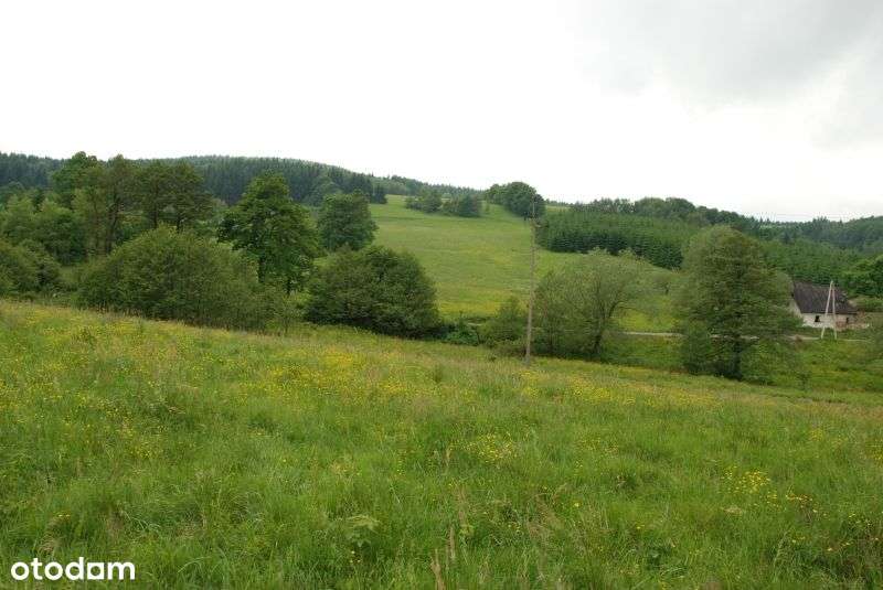 Atracyjna działka - Góry Sowie - Glinno-3