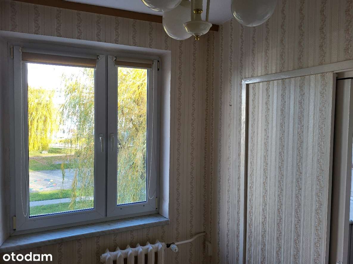 2 oddzielne pokoje , kuchnia z jadalnią .   OKAZJA .-18