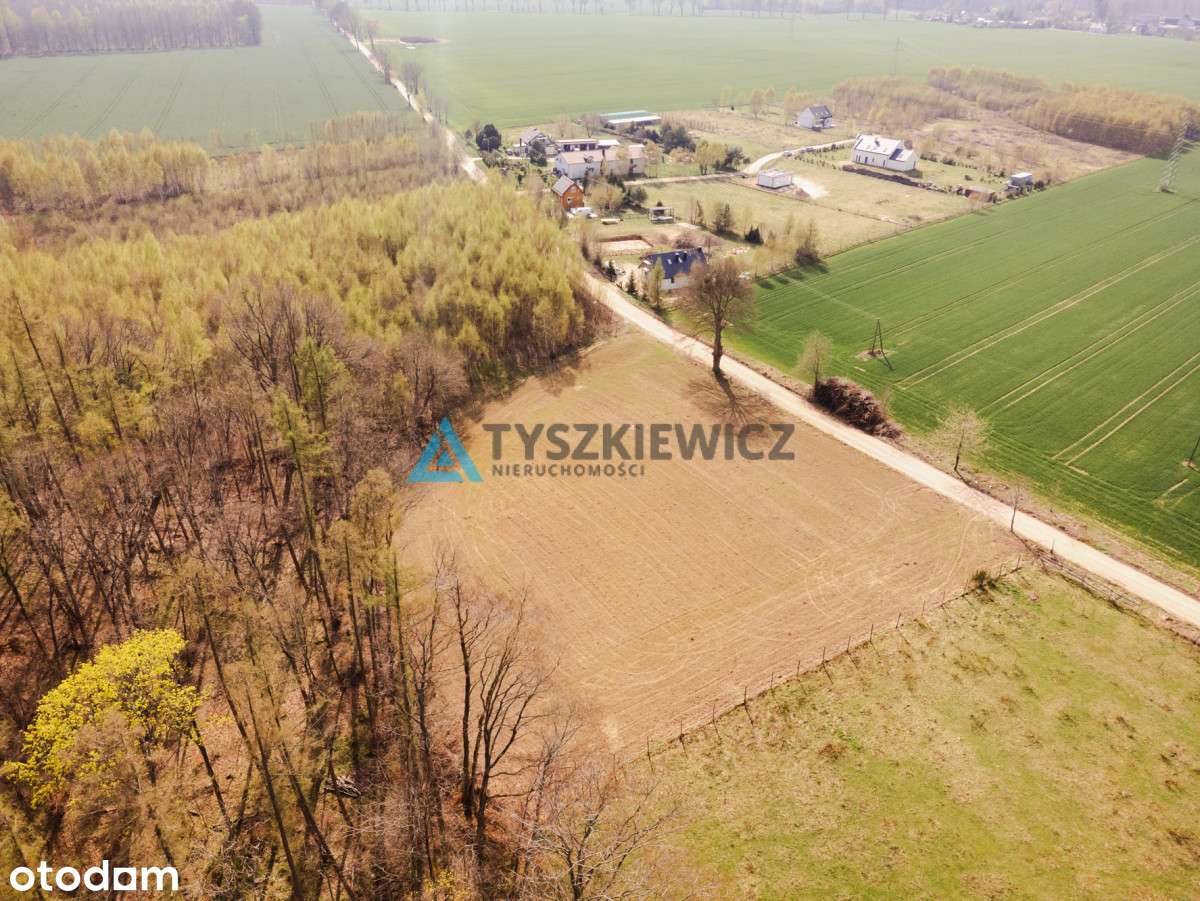 Duża działka niedaleko Krokowej. - Pełny obrazek: 3/20