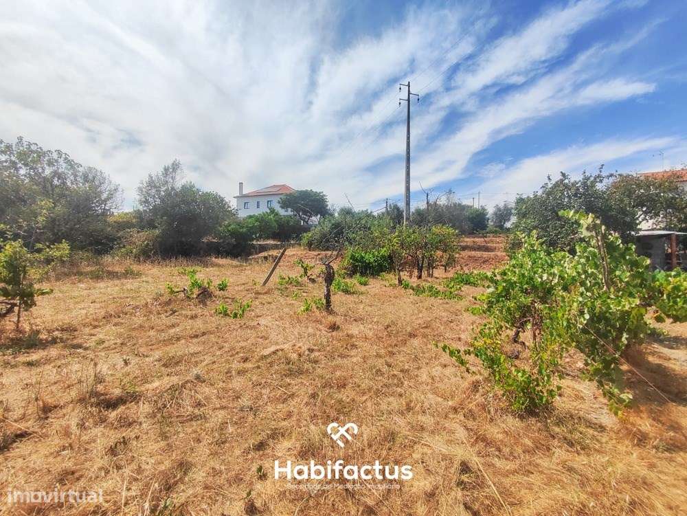 Terreno com Viabilidade de Construção - Vista sob a Serra da Estrela-4