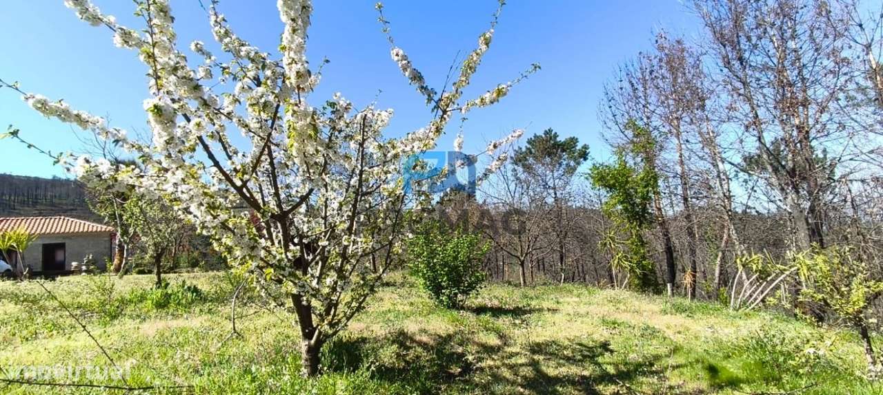 Quinta com 3 artigos urbanos, piscina e 9,4 ha em Resende-43