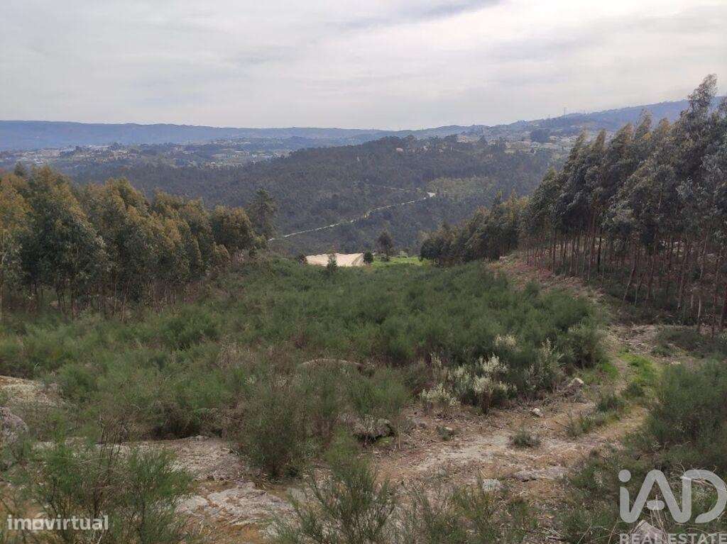 Terreno em Vila Boa de Quires e Maureles - Grande imagem: 4/11