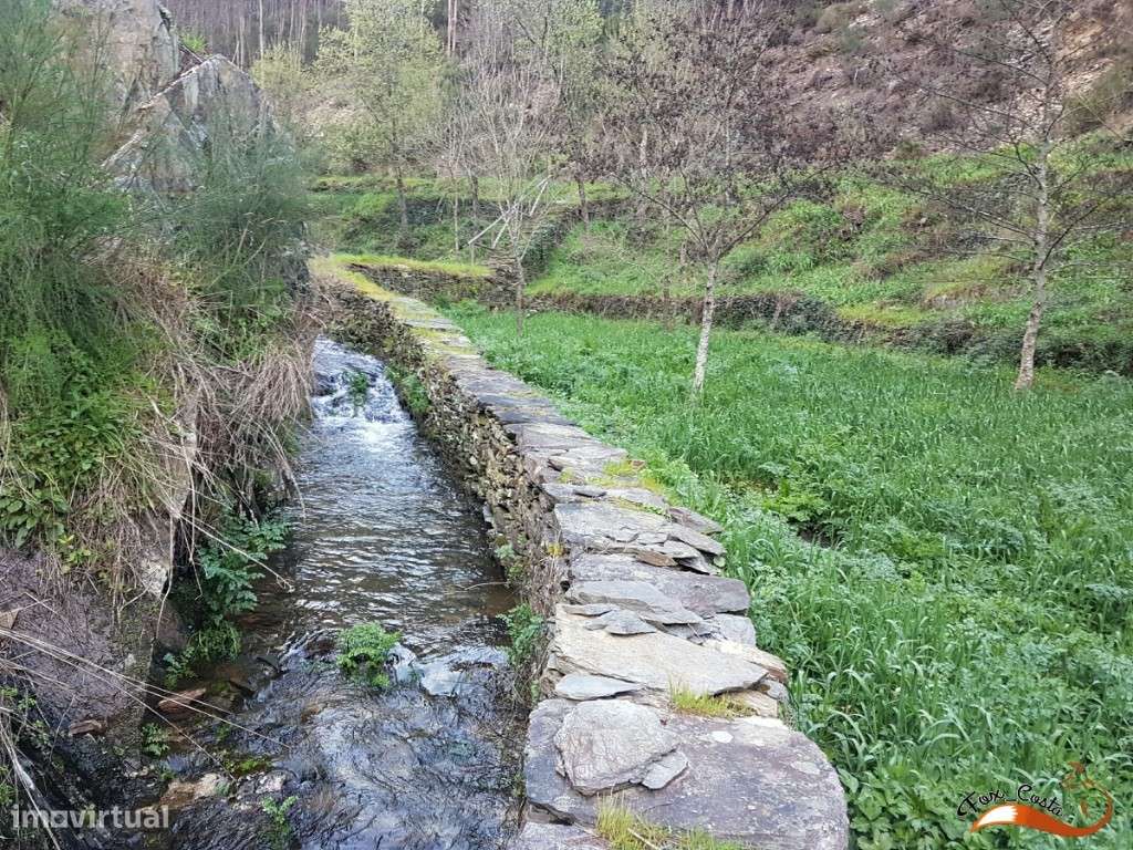 Terreno para construção de moradia isolada, Roxo, Lorvão, Penacova - Grande imagem: 4/10