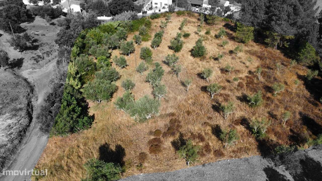 Terreno  para venda - Grande imagem: 4/6