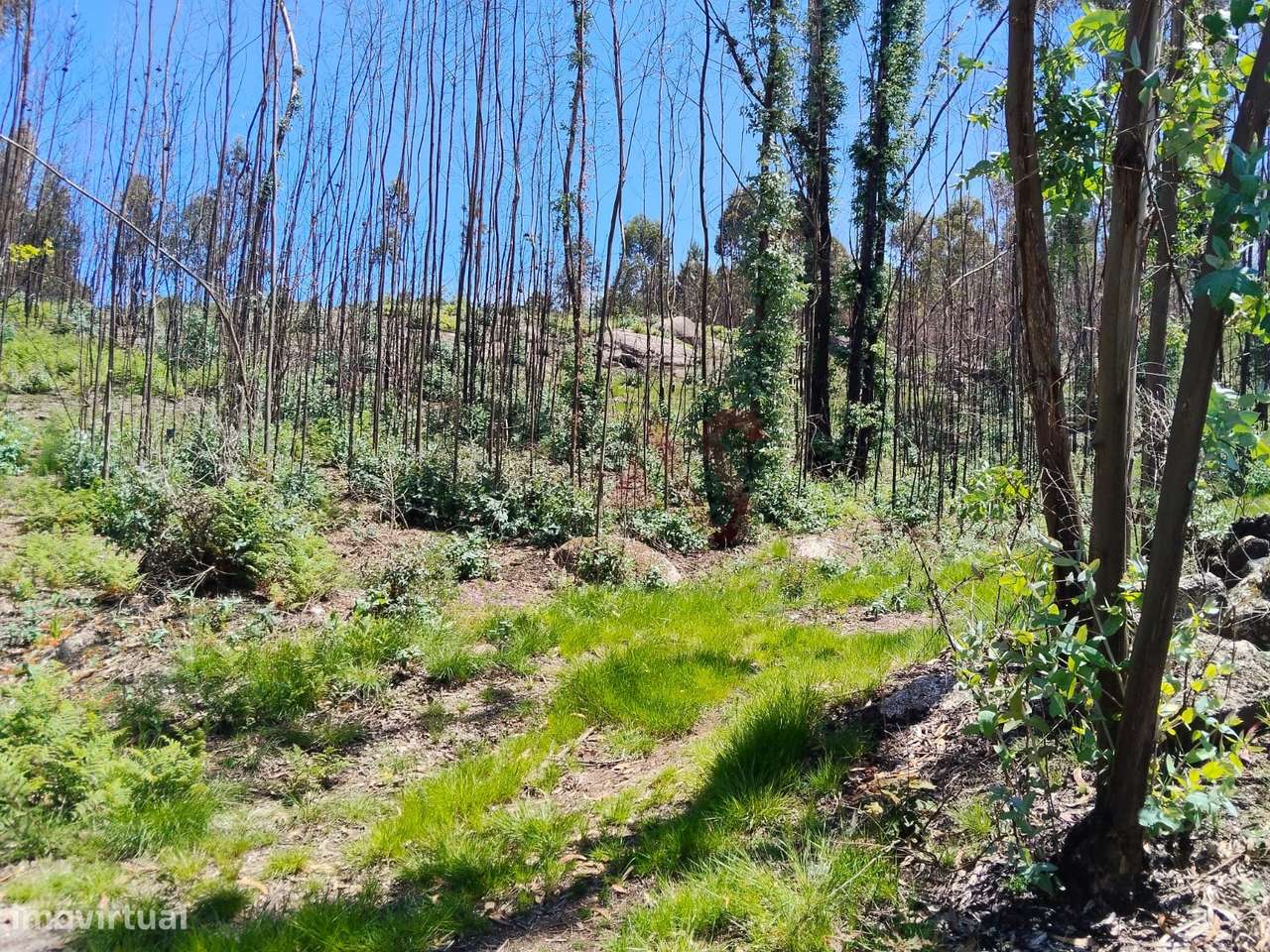 Terreno Rústico com 2.603,87 m² em Seidões, Fafe - Grande imagem: 4/5