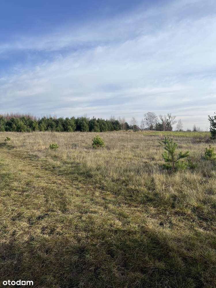 Targowo działka na sprzedaż na Mazurach blisko jeziora.-3