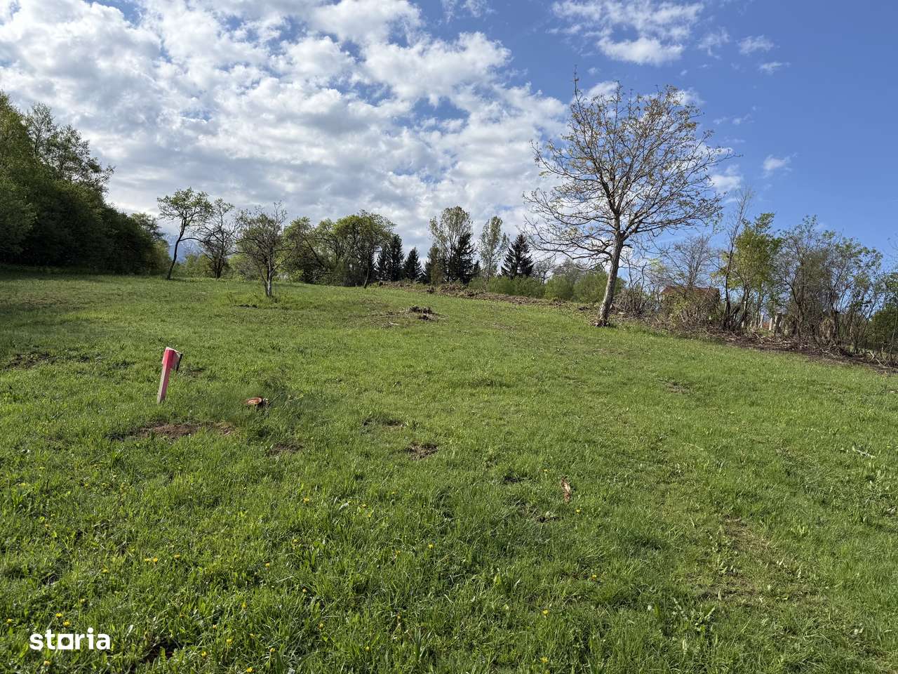 Teren intravilan construibil 500 mp-15