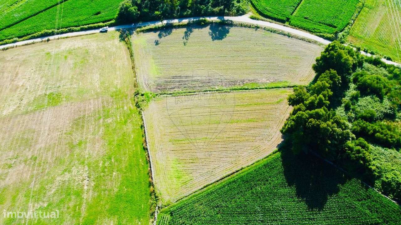 Terreno  para venda - Grande imagem: 4/12