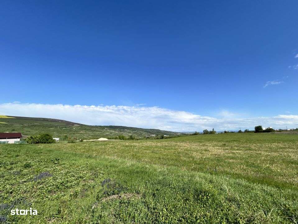 Teren de vanzare Valea Chintaului 1300mp front 24ml - Imagine principală: 3/5