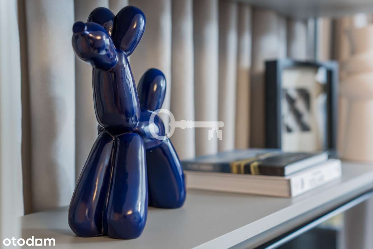 Nowe, gotowe do wprowadzenia | Braniborksa | - Pełny obrazek: 5/20