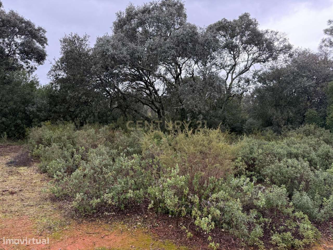 Terreno Rústico à Venda 23.000€ – Pernes, Malhou, Louriceira e Espinhe - Grande imagem: 4/17