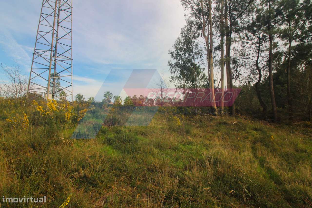 Terreno Industrial na Ucha-7