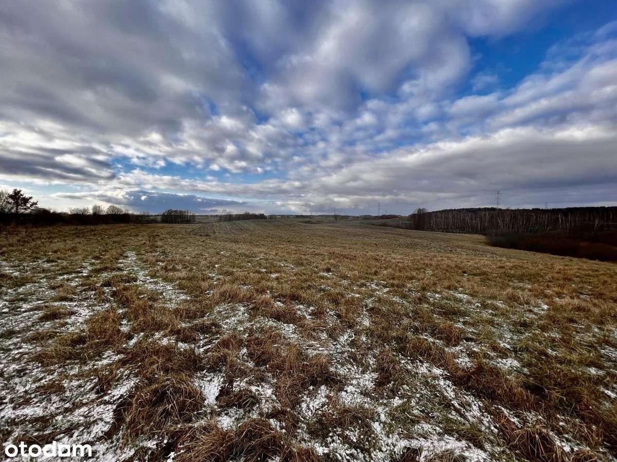 Skajboty - 12 ha kompleks działek na sprzedaż-2