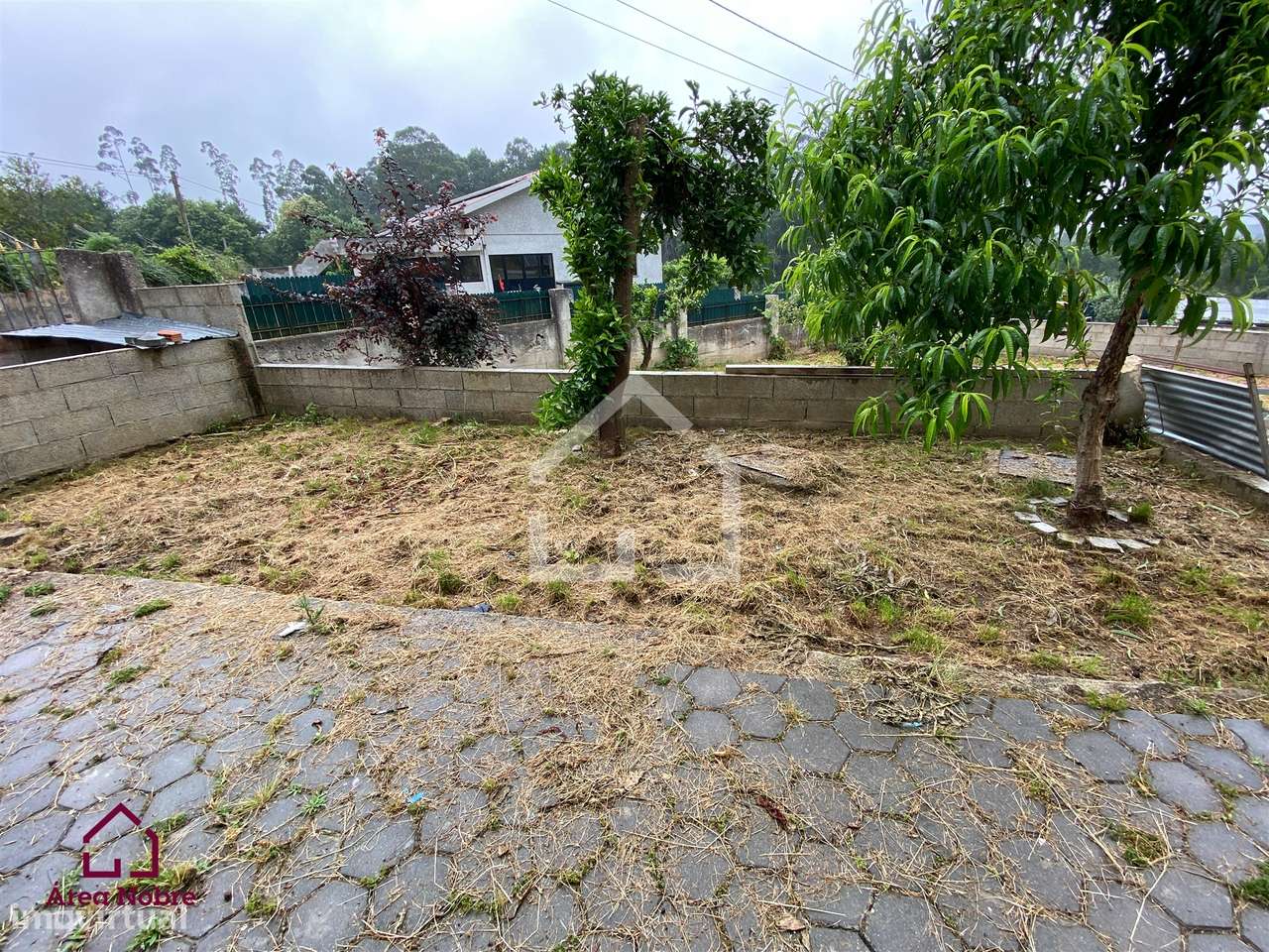 Moradia com 2 Habitações - Souto-35