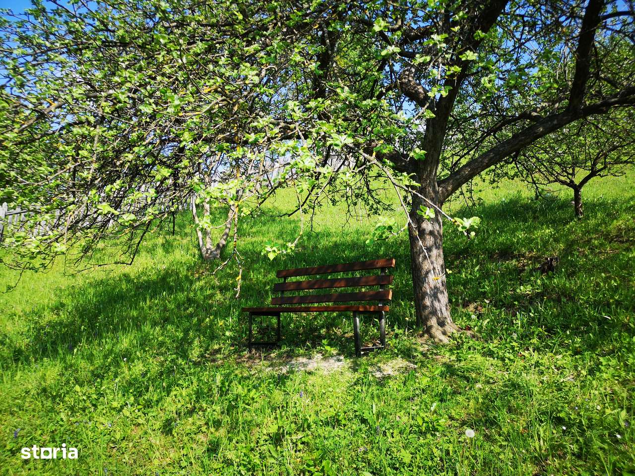 2 case pe același teren ideale pt familie/pentru activități turistice - Imagine principală: 5/20