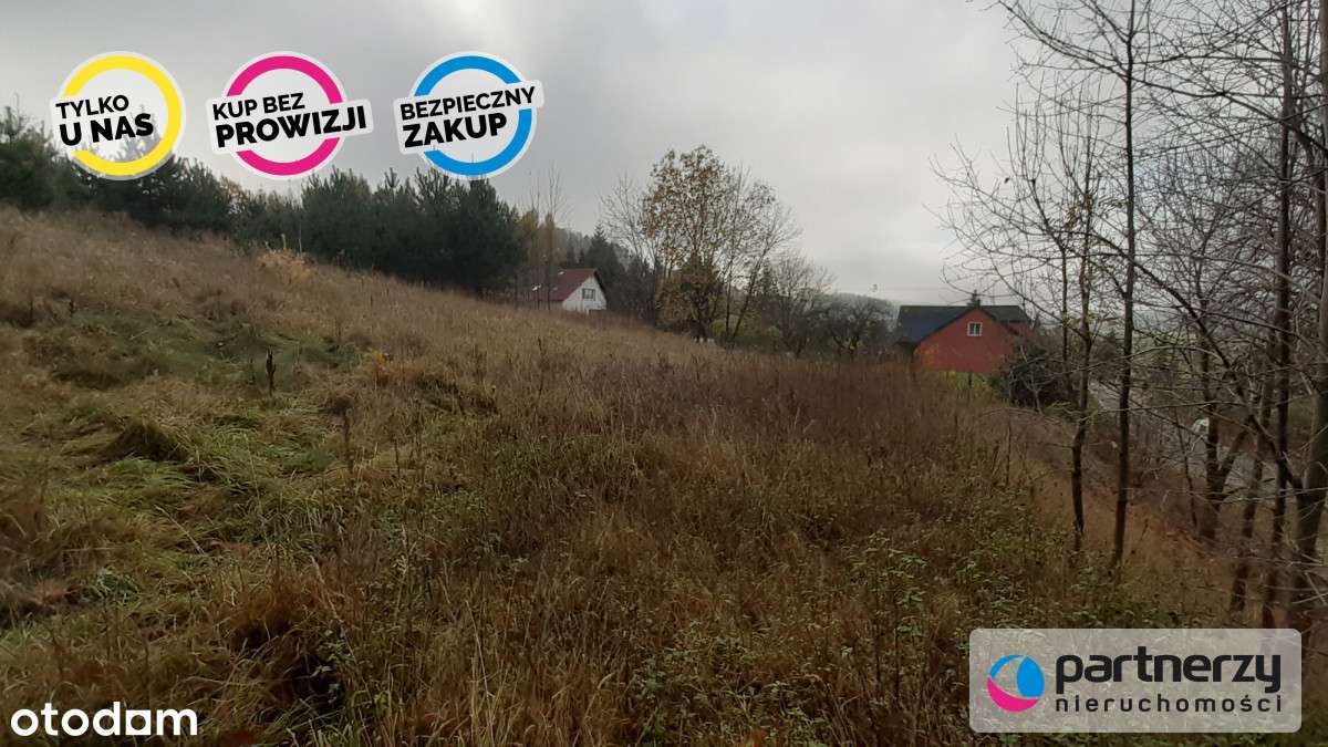 Działka z WZ  Smętowo Chmieleńskie przy lesie - Pełny obrazek: 5/11