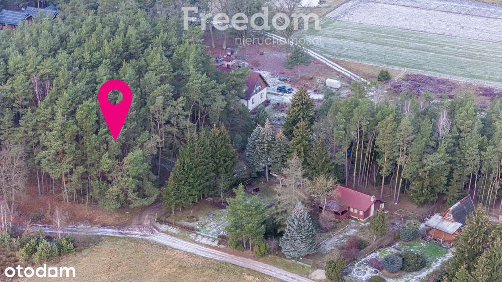 Okazja piękna działka w lesie pod Warszawą - Pełny obrazek: 5/14