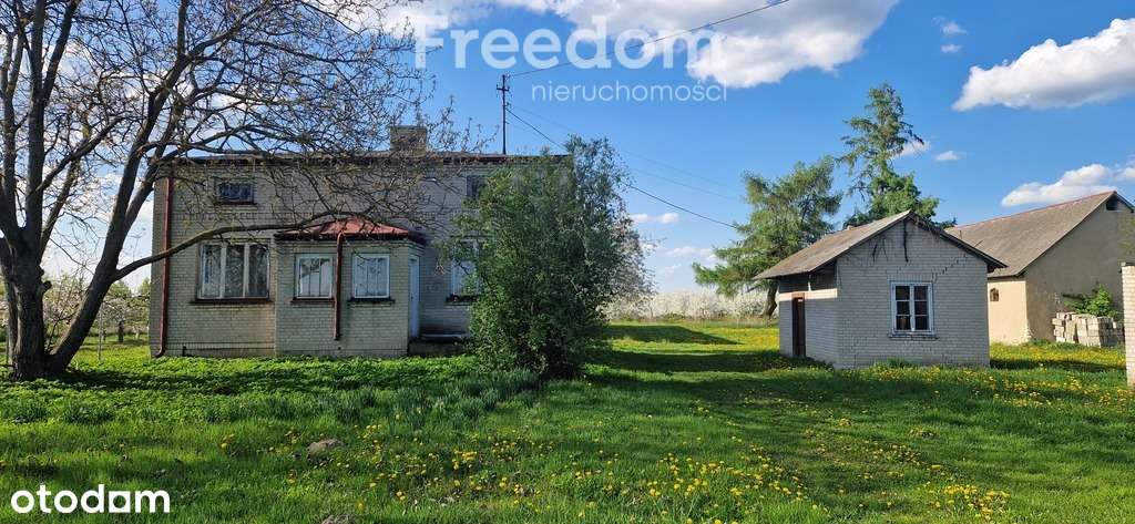 Dom 81 m2 z sadem Władysławów pow. Lipsko - Pełny obrazek: 3/15