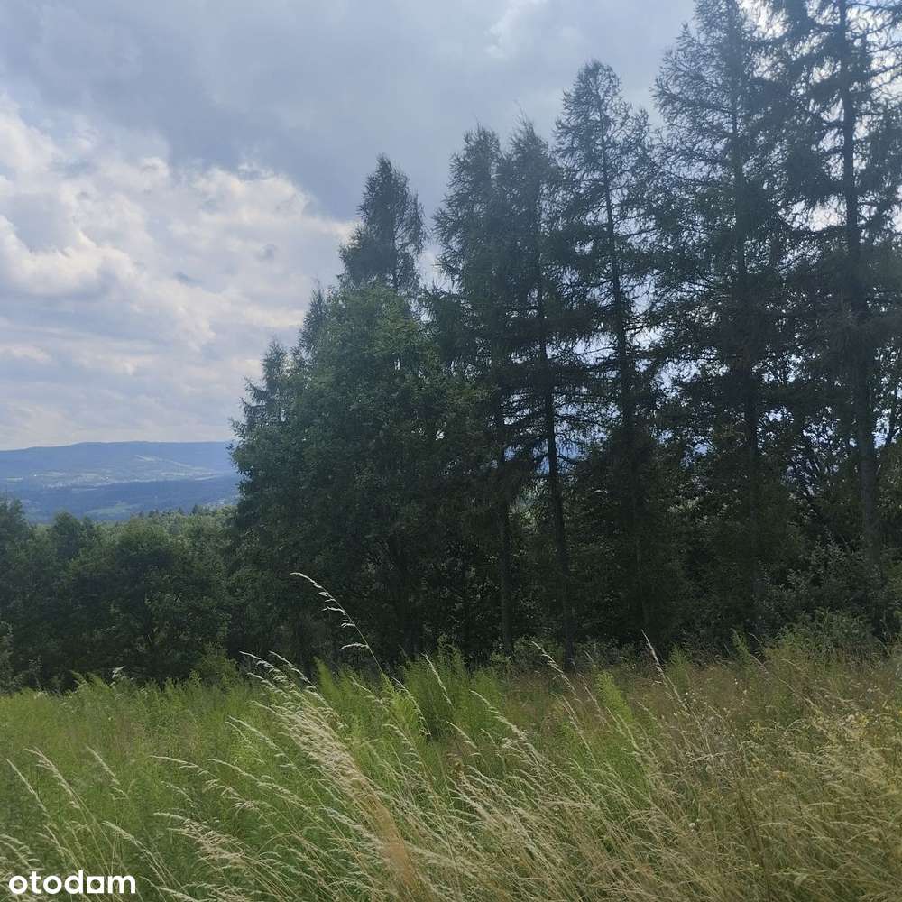 Piękne widoki, cisza i spokój, potencjał budowlany - Pełny obrazek: 5/5