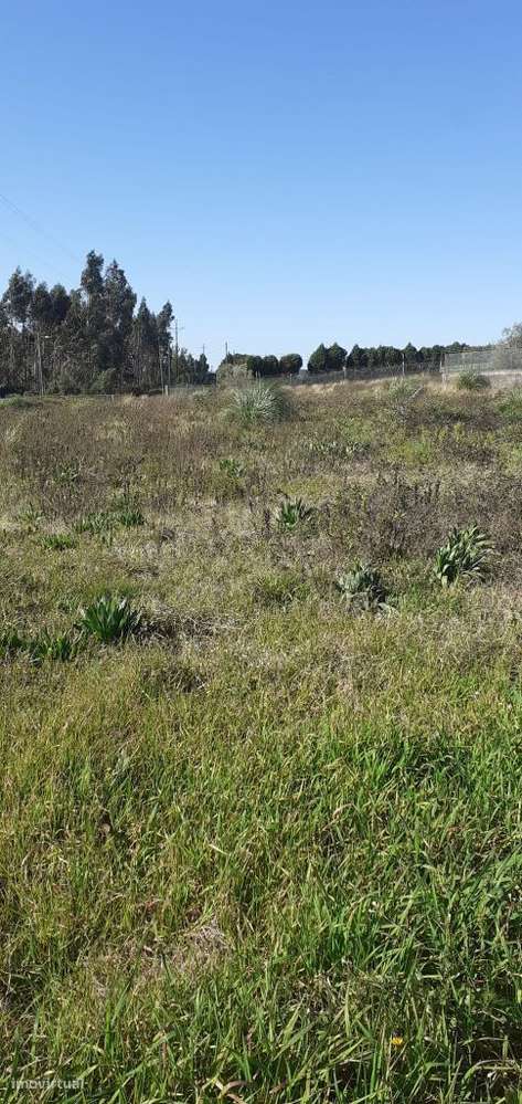 Fantástico Terreno para construção - Grande imagem: 4/12