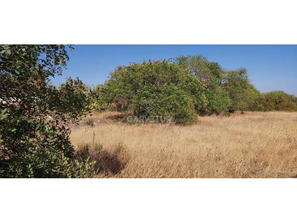 Lote terreno para moradias ou apartamentos, Ferreiras, Albufeira, A... - Grande imagem: 2/17