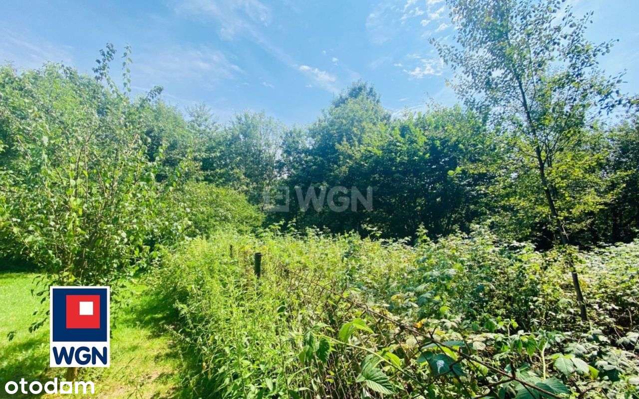 Klimatyczna działka przy lesie Kazimierz Górniczy-6