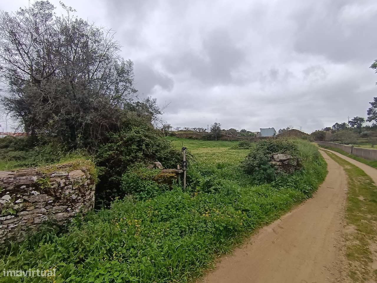 Quintinha - Grande imagem: 4/19